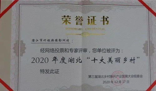 2020年十大好看的乡村小说,有哪些好看的书籍推荐