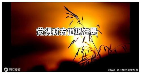 2021天蝎座幸运花,2021天蝎座