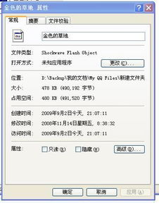 Shockwave Flash Object文件怎么编辑？用什么软件可以编辑？