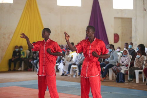 体育 武术 肯尼亚举办武术巡回赛