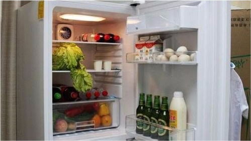 你家冰箱费电吗 只需一个小方法,一年下来能省很多钱 