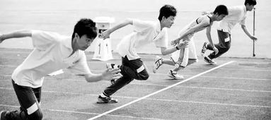 贵州体育艺考标准：打造综合素质人才，培养未来体育精英