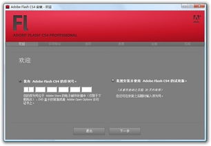 adobe flash cs4