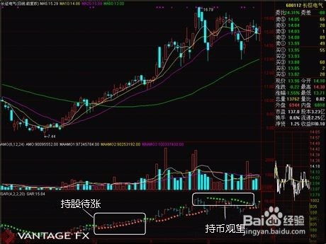 ssl指标怎么看外汇指标讲解