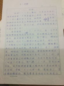 求一篇细节写母爱的300字作文 急 