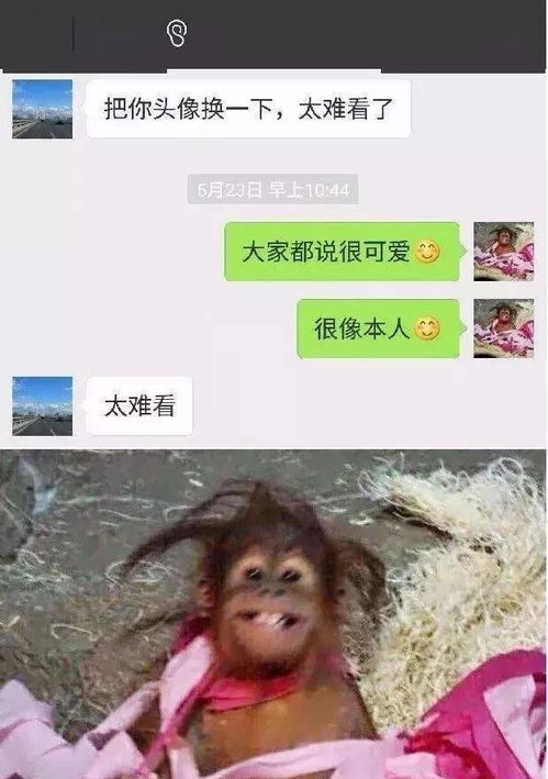 你妈逼你换头像了吗 哈哈哈哈哈哈哈哈哈哈哈哈