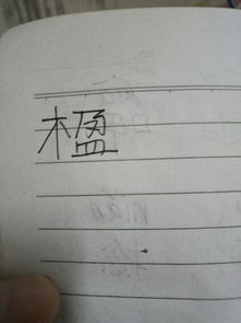 这个字怎么读啊,查不到 