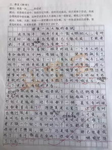 坚持26年 小学老师批改作文每次评语超过万字,平均一篇300字