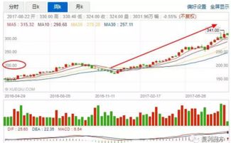 我持00开头的股票可以打新股7和3开头的股票吗