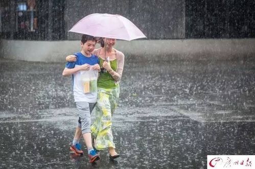 广州人注意 男子雨天趟水走路竟感染 丹毒 