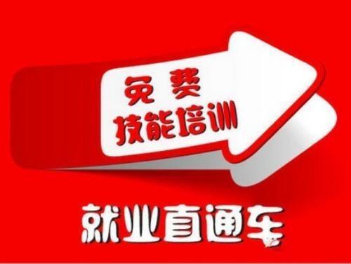 河北省残联免费为500名残疾人提供互联网就业培训 