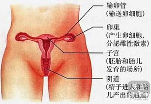 解析 女生阴道护理的5个常见误区