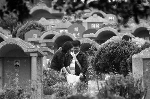 广州将提倡 家族式 合葬 面积较大格位可容7个骨灰 