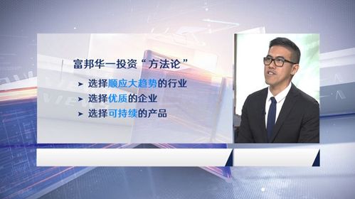 富邦公司是干什么的啊,多元化发展的企业集团