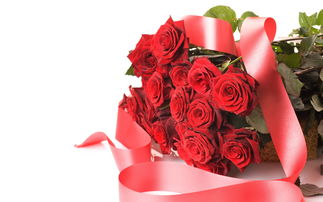 22朵红玫瑰花的花语,22朵红玫瑰花语寓意
