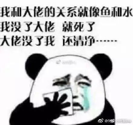 吃鸡时唯一的大佬死了你会怎么办