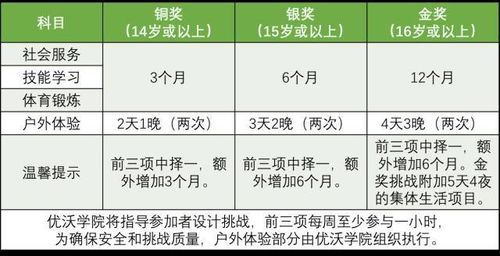 每个人都能争取的国际青年奖项 