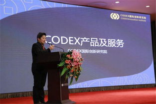 CODEX 创新才是真正的生产力