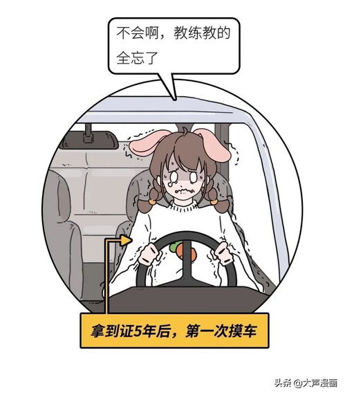 美女寒假学车,把教练气炸了 漫画