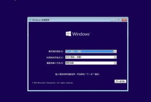 新电脑只能装人win10