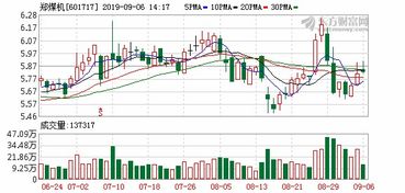 雅仕易主湖北国资拓展A股版图