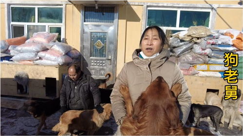 当地宠物店的爱心大姐,又捐赠二千元狗粮,感谢对流浪狗的关心 