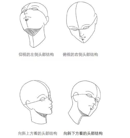 动漫Q版人物头部怎么画 动漫人物头部画法教程