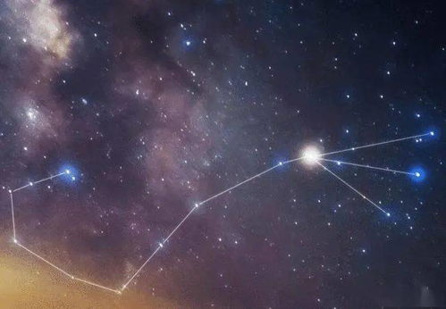 天蝎座是个性很强的星座,对自己喜欢的领域,异常执着且喜欢
