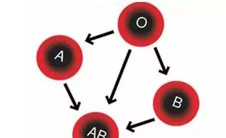 你的血型容易得什么病 看完知道提早预防