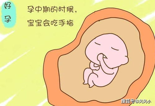孕妇睡觉的时候,胎儿到底在肚子里干嘛 很有可能在忙这4件事