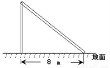 如图1,台风过后,一希望小学的旗杆在离地某处断裂,旗杆顶部落在离旗杆底部8m处,已知旗杆原长16m,你能求出旗杆在离底部什么位置断裂的吗 请你试一试. 青夏教育精英家教网 