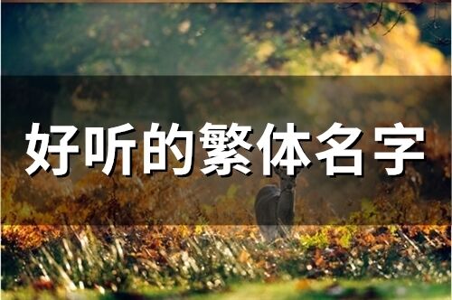 好听的繁体名字