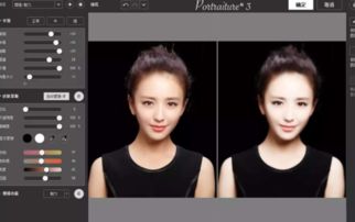 PS人像磨皮插件下载 PS人像磨皮插件 Portraiture V3.0.3 x64汉化版 