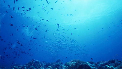 海底真的可以住人 海南海底发现了72座村庄,依然有人生活迹象
