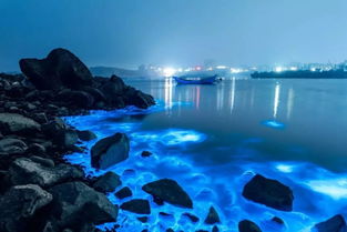美到窒息 蓝眼泪 惊现惠州双月湾,海面下起了流星雨 