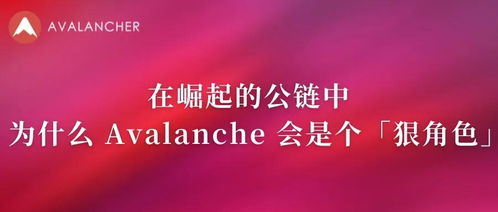 avalanche什么档次,Avalache是什么等级?