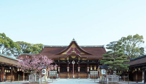 供奉着 学神 的神社 有空必须去一趟