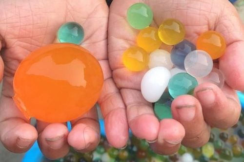 用水泡大的海洋生物球 泡大珠 原理是什么 