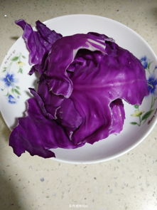 紫色多肉植物图鉴 搜狗图片搜索