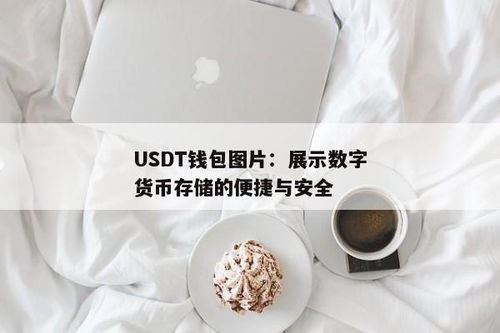 usdt钱包有哪些图片,多样化的选择满足您的需求