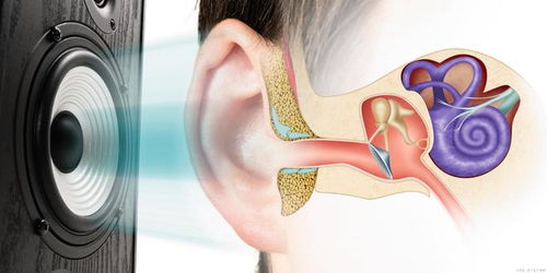 植入人工耳蜗微创手术危险性大吗