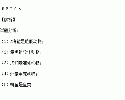 将下列动物与右侧的种类正确搭配.并将相应的字母填写在括号内. 题目和参考答案 青夏教育精英家教网 