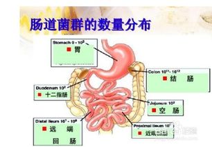 人体健康小常识