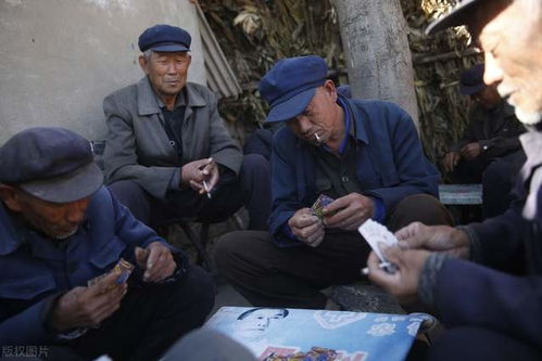 春节农村处处都是 闲散人员 ,打牌喝酒都干,哪有那么多闲钱