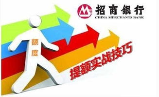 用pos机把招商信用卡提额,招商银行信用卡怎么提额