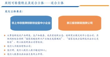 股份有限公司发行债券如何通过