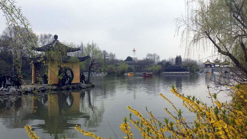 扬州旅游景点,扬州旅游攻略：自然风光、历史文化遗产与美食体验