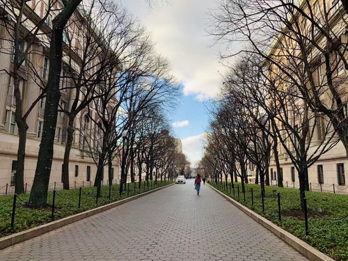 天体物理学专业大学排名