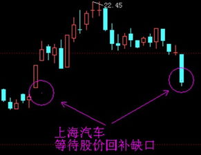 上海汽车股票有投资价值吗？请专家具体分析一下！谢谢