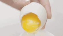 关于鸡蛋的科学知识(关于鸡蛋的科普知识)